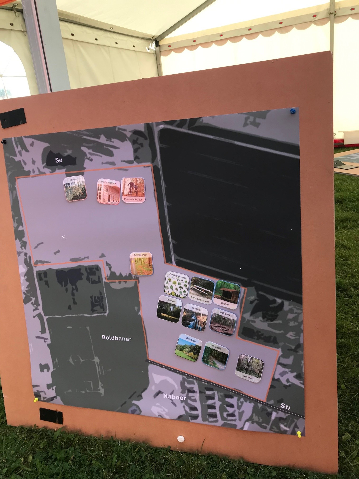 Skovrejsning ungefolkemøde