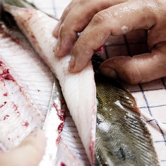 Udskæring af rå fisk