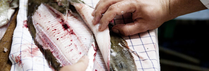 Udskæring af rå fisk